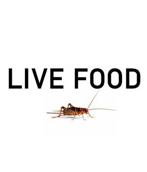 Live Food